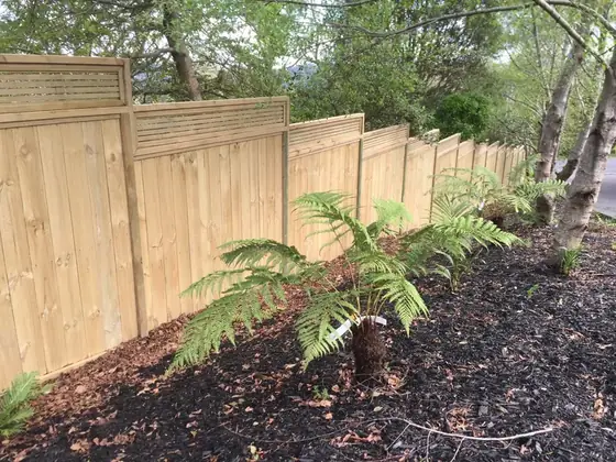 Fence & Trellis Auckland